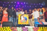 Mahesh Movie Audio Launch 02 - 99 of 135