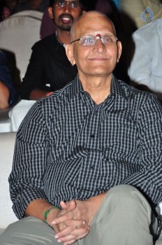 Majnu Movie Audio Launch 1 - 5 of 63