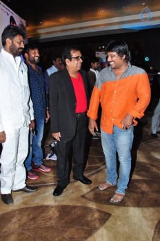 Mama Manchu Alludu Kanchu Audio Launch 1 - 35 of 104