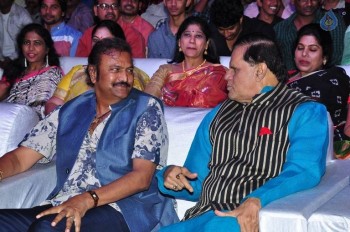 Mama Manchu Alludu Kanchu Audio Launch 3 - 19 of 63
