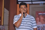 Mana Janda Audio Launch - 16 of 42