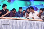 Manam 100 Days Celebrations 03 - 34 of 174