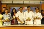 Manam Andaram Okkate Movie Audio Launch - 22 of 28