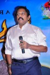 Manasara Movie Success Meet - 12 of 87