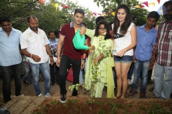 Marala Telupana Priya Team at Haritha Haram Event - 17 of 36