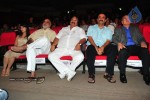 Maryada Ramanna Movie Audio Launch Photos - 204 of 216