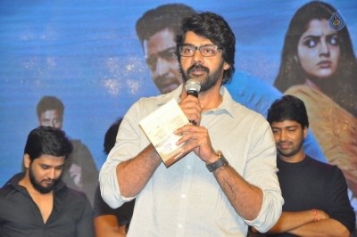 Meda Meeda Abbayi Movie Audio Launch - 11 of 19