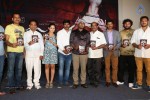 Meera Movie Audio Launch - 58 of 63