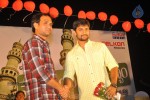 Mem Vayasuku Vacham Movie Audio Launch - 122 of 132