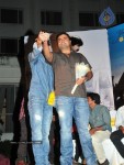 Mirapakaya Movie Audio Launch - 7 of 107