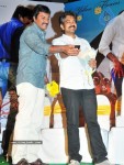 Mirapakaya Movie Audio Launch - 16 of 107