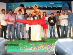 Mirapakaya Movie Audio Launch - 23 of 107