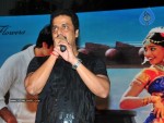 Mirapakaya Movie Audio Launch - 45 of 107