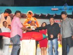 Mirapakaya Movie Audio Launch - 62 of 107