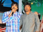 Mirapakaya Movie Audio Launch - 87 of 107