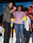 Mirapakaya Movie Audio Launch - 93 of 107