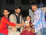 Mirapakaya Movie Audio Launch - 94 of 107