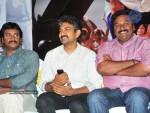 Mirapakaya Movie Audio Launch - 96 of 107