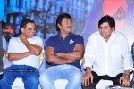 Mirapakaya Movie Success Meet - 5 of 77