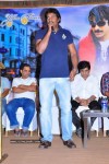 Mirapakaya Movie Success Meet - 17 of 77