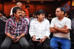 Mirapakaya Movie Success Meet - 40 of 77