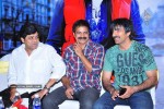 Mirapakaya Movie Success Meet - 75 of 77