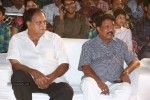 Mirchilanti Kurradu Audio Launch 01 - 49 of 97