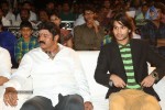 Mirchilanti Kurradu Audio Launch 03 - 215 of 282