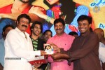 Mirchilanti Kurradu Audio Launch 03 - 238 of 282