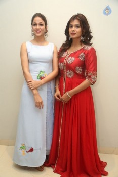 Mister Movie Trailer Launch Photos - 21 of 82