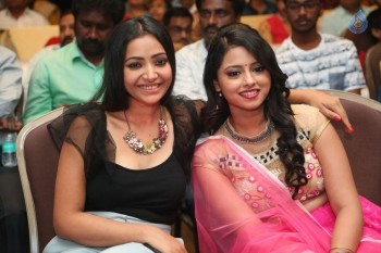 Mixture Potlam Audio Launch - 31 of 63