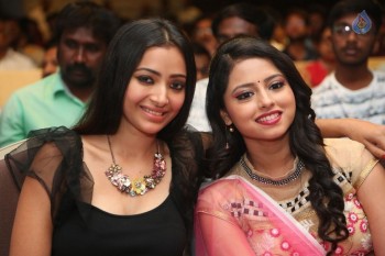 Mixture Potlam Audio Launch - 54 of 63