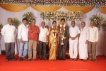 Mohana Sanghavi Wedding Reception - 19 of 48