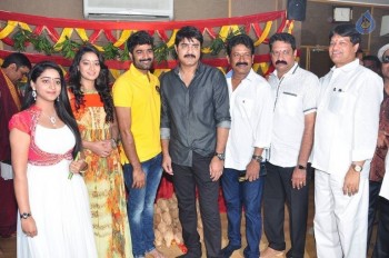 Mounam Movie Opening Photos - 1 of 63