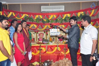 Mounam Movie Opening Photos - 18 of 63