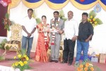 Music Director Kapileshwar Wedding Reception - 2 of 16