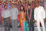 Music Director Sekhar Chandra Wedding Reception - 28 of 121