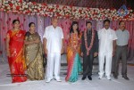 Music Director Sekhar Chandra Wedding Reception - 36 of 121