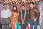 Music Director Sekhar Chandra Wedding Reception - 42 of 121