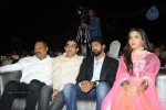 Na Rakumarudu Audio Launch - 58 of 142