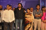 Naayak Movie Audio Launch 06 - 26 of 179