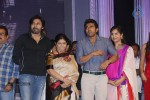 Naayak Movie Audio Launch 06 - 29 of 179