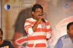 Naayak Movie Press Meet - 44 of 46