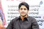 Naga Chaitanya Birthday Photos - 17 of 22