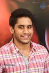 Naga Chaitanya Interview Photos - 6 of 65