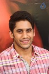 Naga Chaitanya Interview Photos - 11 of 65