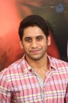 Naga Chaitanya Interview Photos - 12 of 65