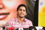 Naga Chaitanya Interview Photos - 13 of 65