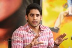 Naga Chaitanya Interview Photos - 24 of 65