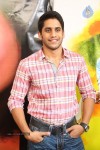 Naga Chaitanya Interview Photos - 34 of 65